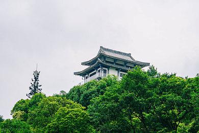 末日生存策略游戏《无垠苍白》Steam发售 暂不支持中文